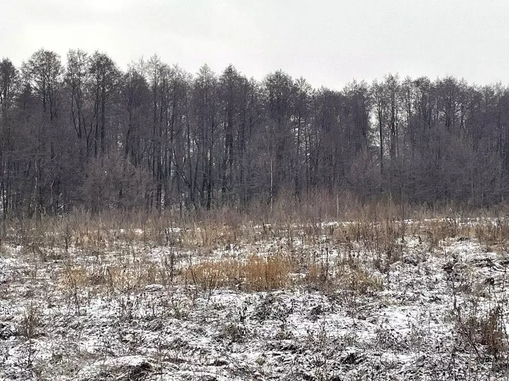 Участок в Московская область, Бронницы  (10.0 сот.) - Фото 0