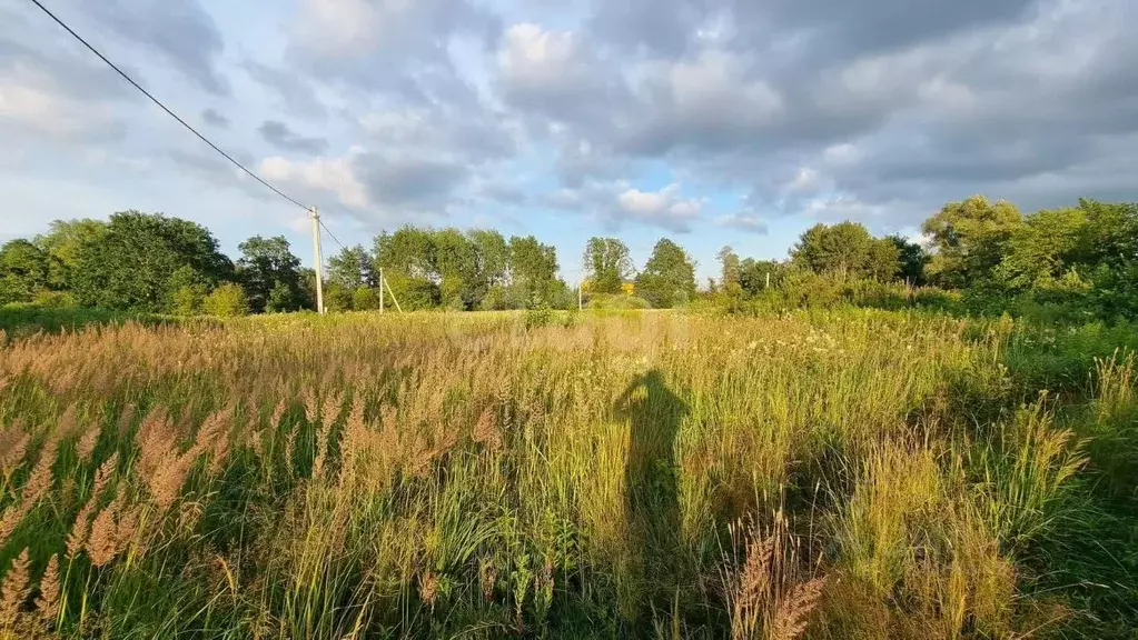 Участок в Калининградская область, Гурьевский муниципальный округ, ... - Фото 1