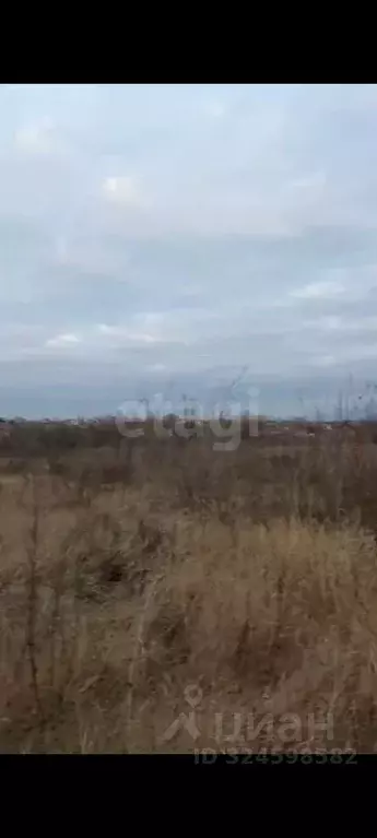 Участок в Саратовская область, Саратов ул. Имени Николая Дрикаловича ... - Фото 1