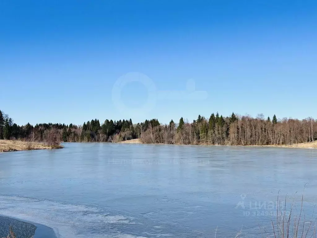 Участок в Московская область, Рузский муниципальный округ, д. Мамошино ... - Фото 1