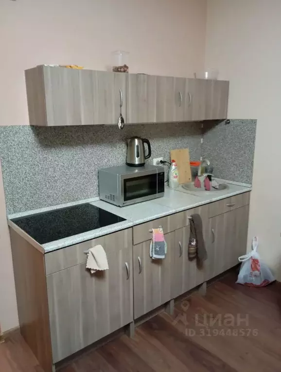 Студия Санкт-Петербург проезд Дизельный, 11к1 (27.6 м) - Фото 1