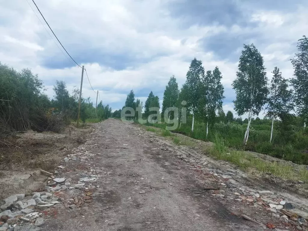 Участок в Тюменская область, Тюмень Большое Царево-1 СНТ,  (10.0 сот.) - Фото 1