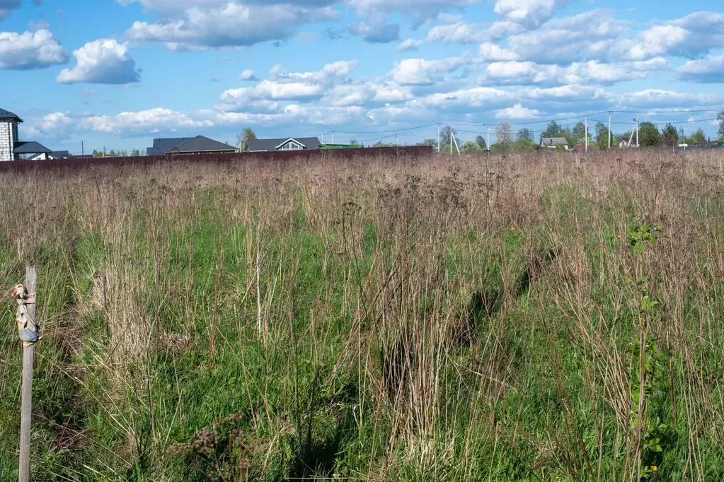Участок в Ленинградская область, Гатчинский муниципальный округ, д. ... - Фото 2