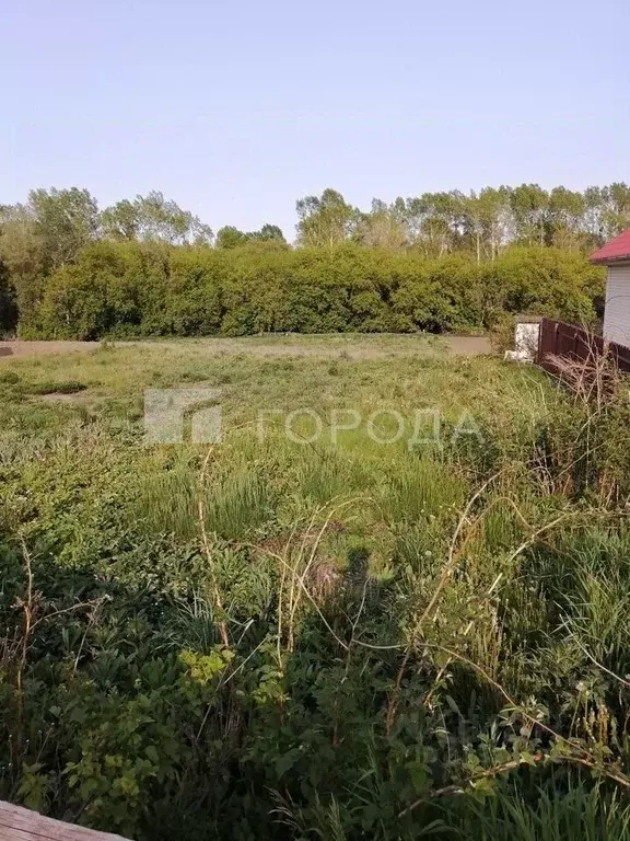 Участок в Алтайский край, Первомайский район, с. Санниково Набережная ... - Фото 1