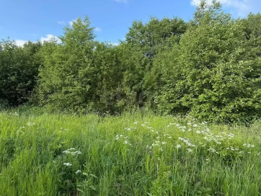 Участок в Вологодская область, Великоустюгский муниципальный округ, ... - Фото 1