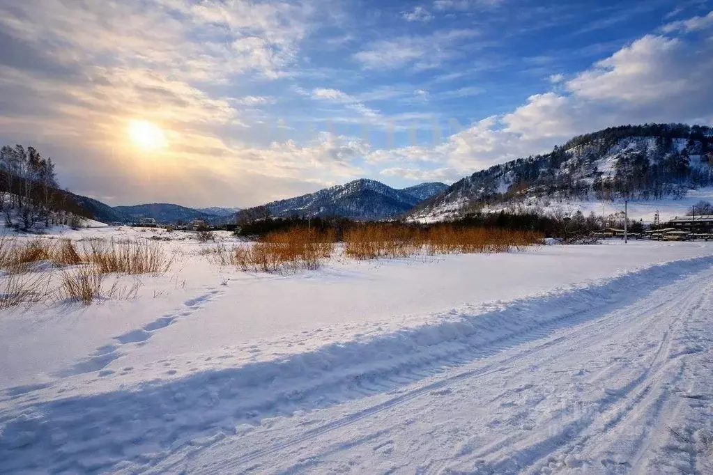 Участок в Алтай, Майминский район, с. Бирюля ул. Молодежная (6.5 сот.) - Фото 1