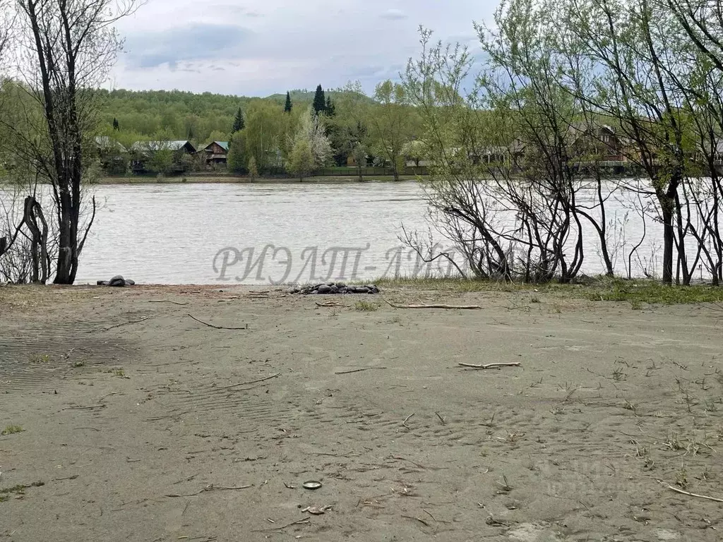 Дом в Алтай, Майминский район Р-256 Чуйский тракт, 453-й км (48 м) - Фото 1
