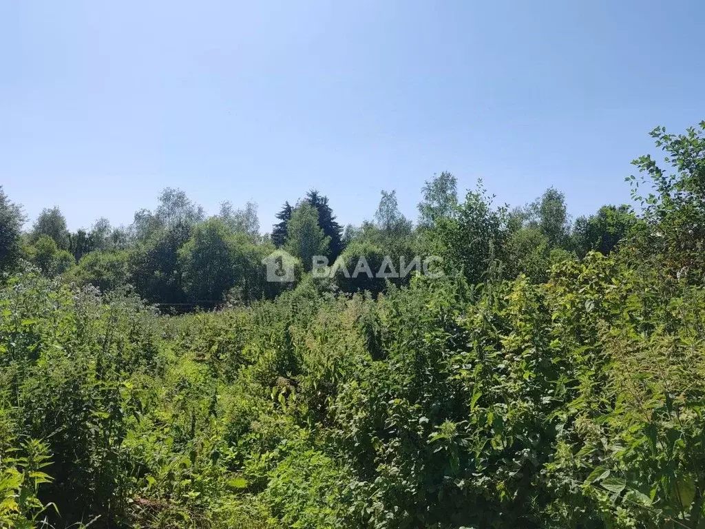 Участок в Ленинградская область, Выборгский район, Рощинское городское ... - Фото 0