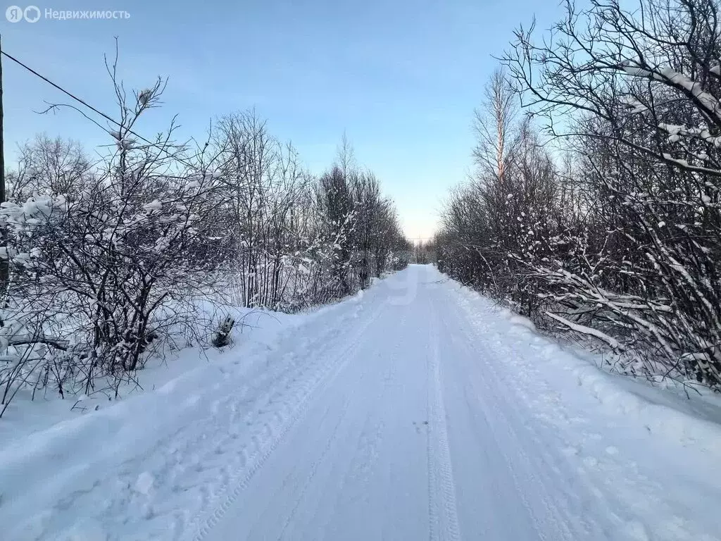 Участок в Архангельск, посёлок Цигломень, Цигломенская улица (10 м) - Фото 1