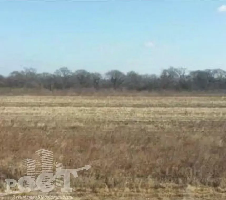 Участок в Приморский край, Артемовский городской округ, с. Кневичи  ... - Фото 2