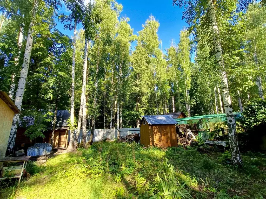 Дом в Татарстан, Альметьевск Ветерок СНТ, 57 (100 м) - Фото 2