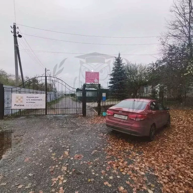 Производственное помещение в Белгородская область, Ракитное городское ... - Фото 1