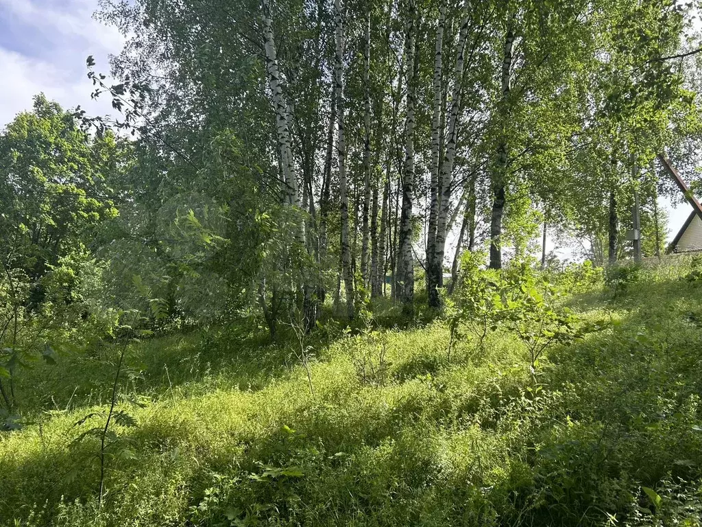 Участок 14 сот. (ИЖС) - Фото 1