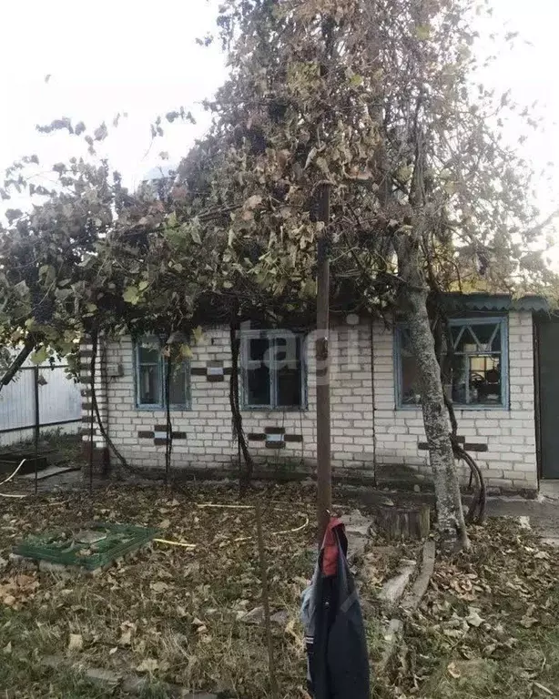 Дом в Белгородская область, Белгородский район, Беломестненское с/пос, ... - Фото 0