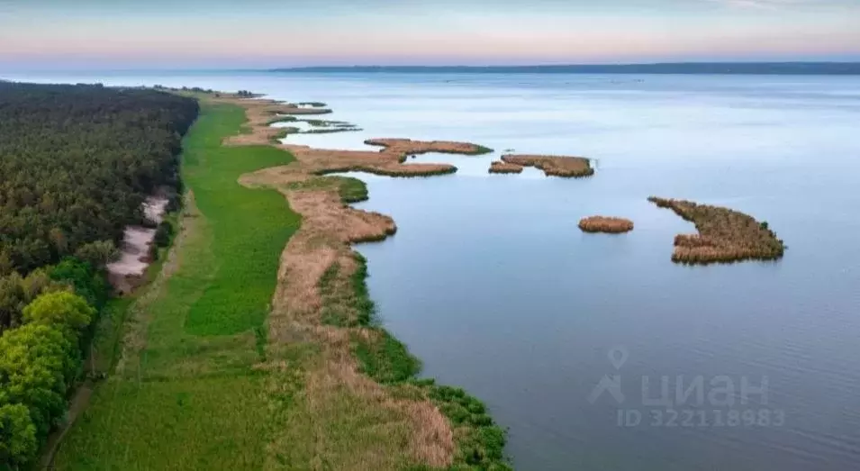 Участок в Калининградская область, Ладушкин Береговая ул., 20 (600.0 ... - Фото 1