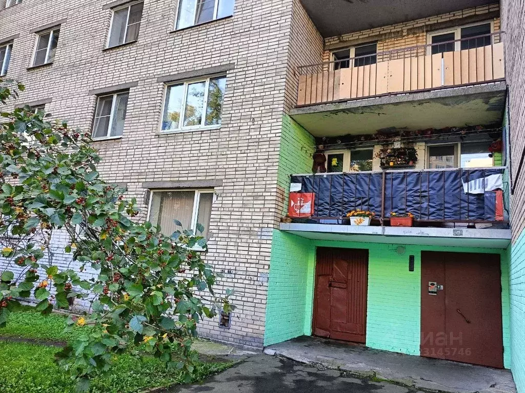 Комната Санкт-Петербург ул. Беринга, 32К2 (18.0 м) - Фото 2