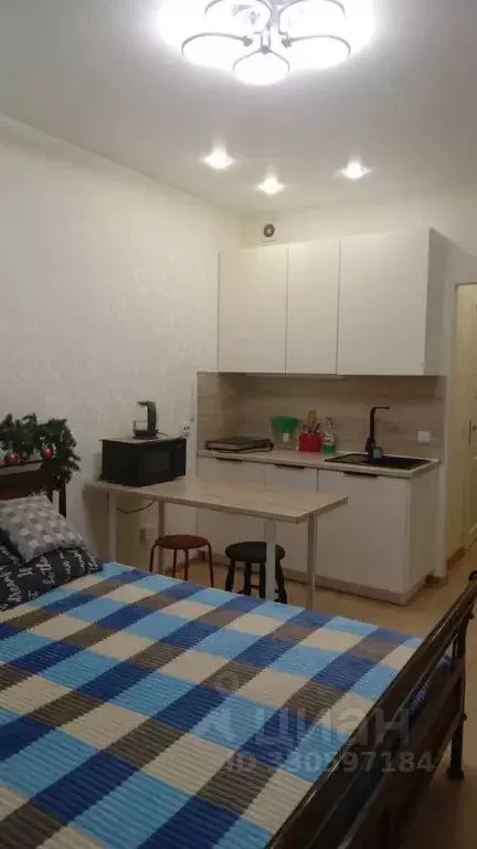 Студия Санкт-Петербург ул. Плесецкая, 10 (28.0 м) - Фото 2