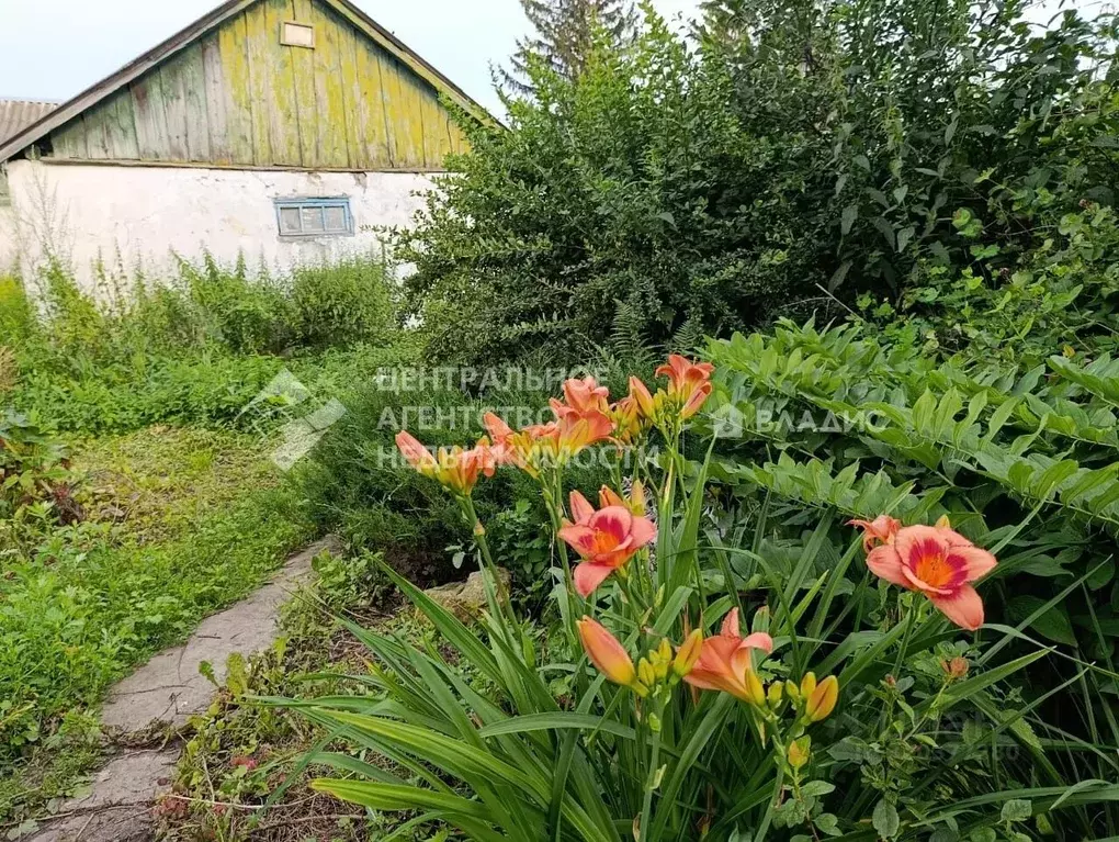 Дом в Рязанская область, Старожилово рп ул. Почтовая, 24 (42 м) - Фото 2