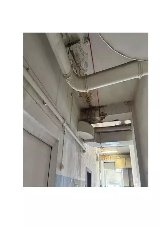 Помещение свободного назначения в Новосибирская область, Новосибирский ... - Фото 1