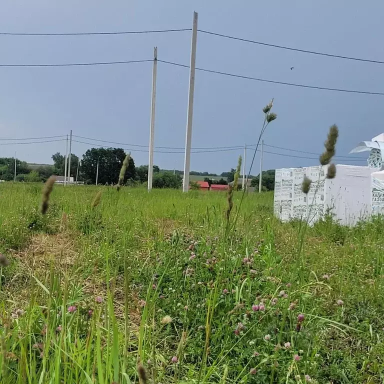 Участок в Тульская область, Узловая Поселок Зеленый кв-л,  (8.11 сот.) - Фото 2