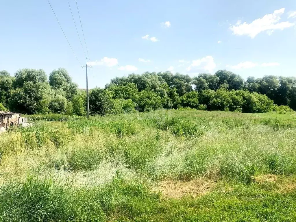 Участок в Белгородская область, Старооскольский городской округ, с. ... - Фото 1