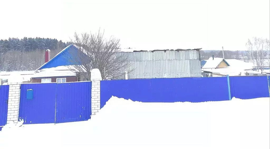 Дом в Татарстан, Высокогорский район, д. Чернышевка Лесная ул. (90 м) - Фото 1