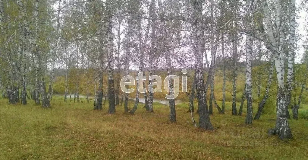 Участок в Новосибирская область, Искитимский район, Совхозный ... - Фото 1