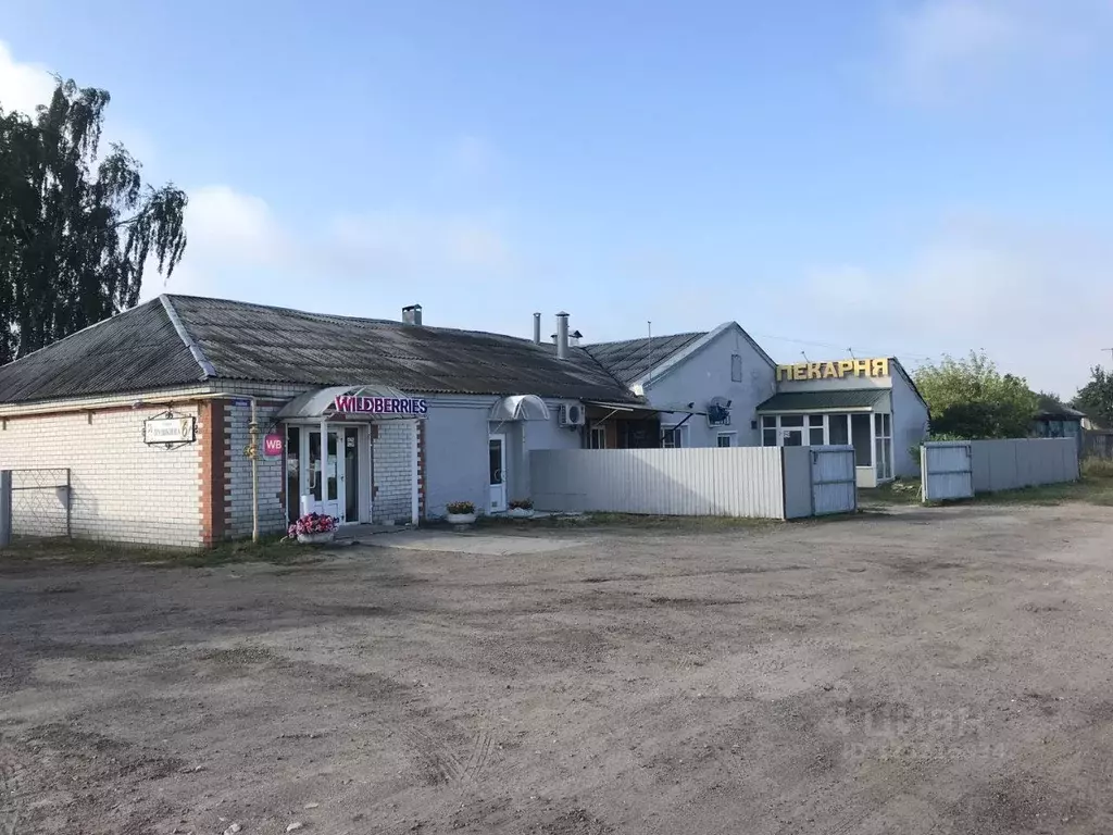 Помещение свободного назначения в Воронежская область, Грибановский ... - Фото 2