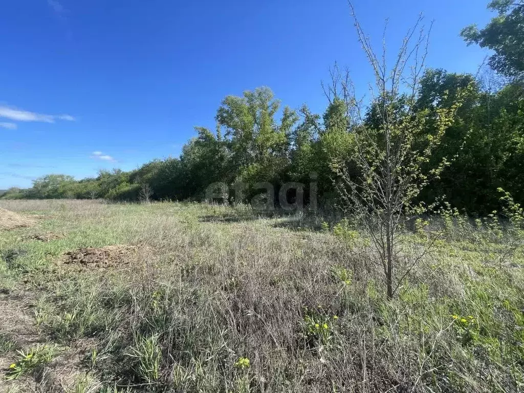 Участок в Белгородская область, Белгородский район, Беловское с/пос, ... - Фото 0