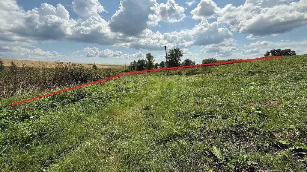 Участок в Башкортостан, Бирский район, Осиновский сельсовет, с. ... - Фото 0