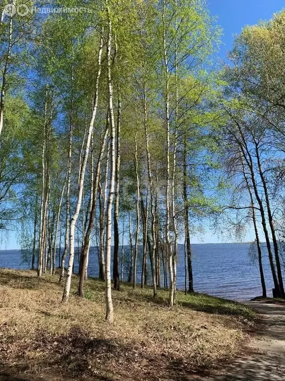 Участок в Нижегородская область, городской округ Чкаловск, деревня ... - Фото 1