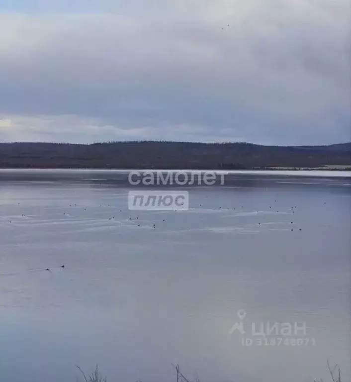 Участок в Забайкальский край, Читинский район, с. Иван-Озеро  (15.0 ... - Фото 1