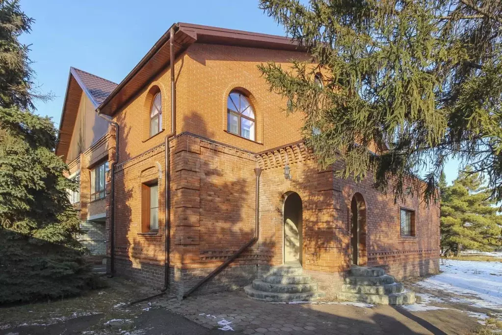 Дом в Омская область, Омский район, с. Дружино Северная ул., 6 (333 м) - Фото 1