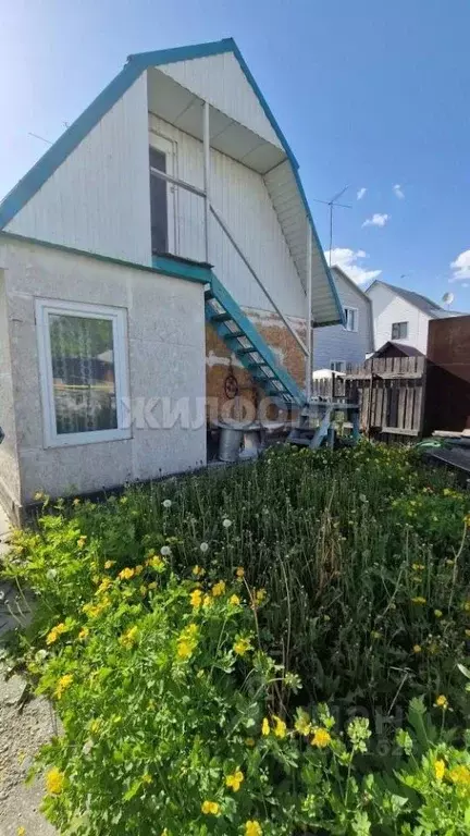 Дом в Новосибирская область, Новосибирск Порт-Артурская ул., 52 (38 м) - Фото 1