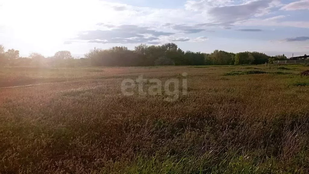 Участок в посёлок Придорожный, улица Зои Космодемьянской (6 м) - Фото 1