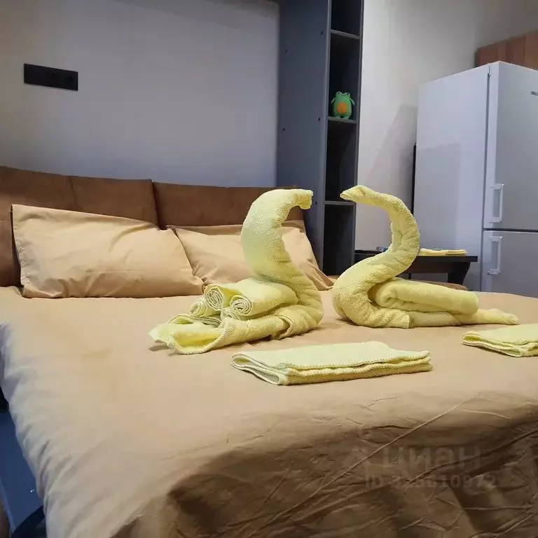 Студия Москва Окружной проезд, 10Б (20.0 м) - Фото 2