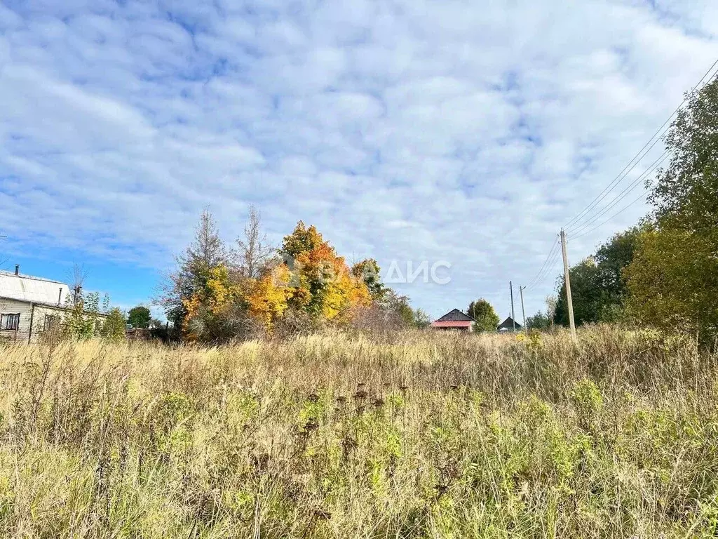 Участок в Владимирская область, Суздальский район, Новоалександровское ... - Фото 1