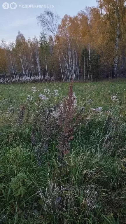 Участок в посёлок Минино, Звёздная улица, 10 (12 м) - Фото 1