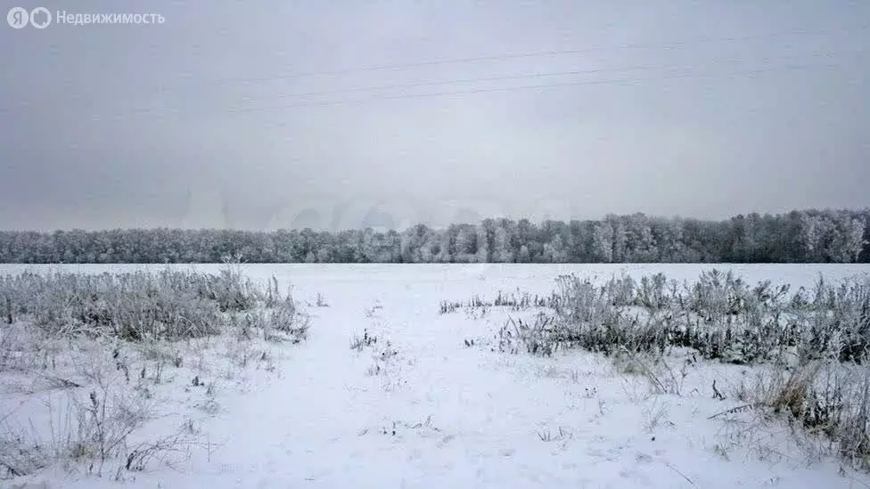 Участок в Архангельская область, Котласский муниципальный округ, ... - Фото 1