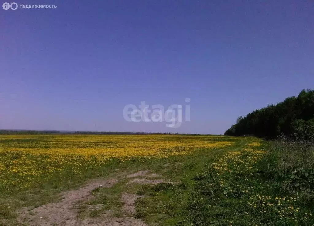 Участок в Ярославский муниципальный округ, дачное некоммерческое ... - Фото 1