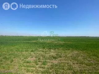 Участок в Кухаривское сельское поселение, хутор Приазовка, улица Мира ... - Фото 1