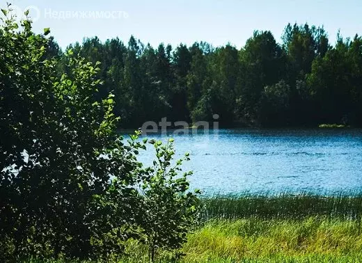 Участок в Куйвозовское сельское поселение, КП Грузино сити (7 м) - Фото 1