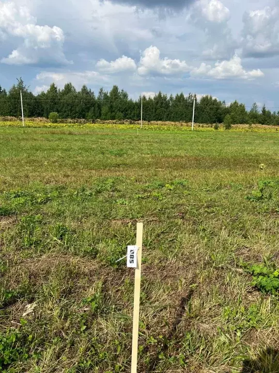 Участок в Коми, Корткеросский район, Додзь муниципальное образование, ... - Фото 2