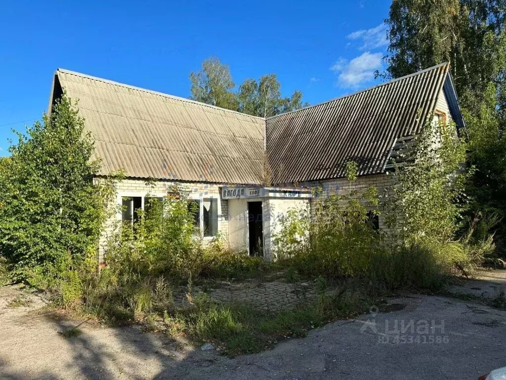 Помещение свободного назначения в Нижегородская область, Лысковский ... - Фото 1