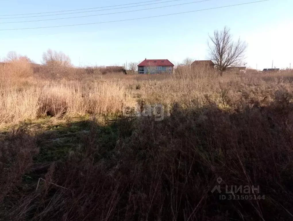 Участок в Калининградская область, Зеленоградск пос. Вишневое,  (6.0 ... - Фото 0