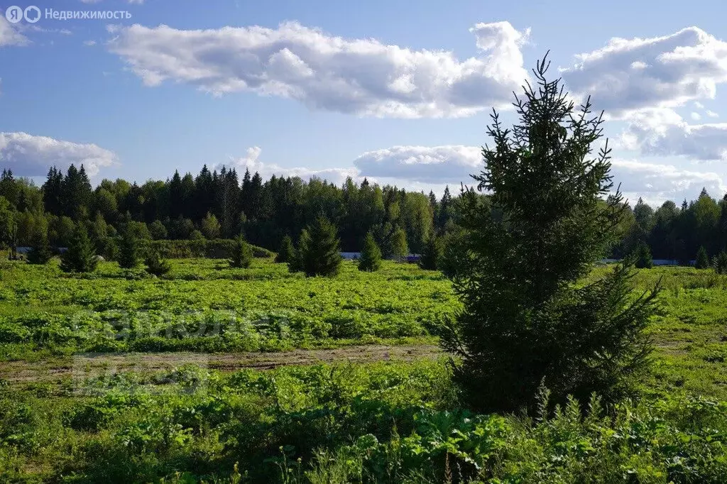 Участок в Московская область, городской округ Истра (7.5 м) - Фото 0