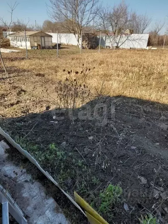 Участок в Брянская область, Брянск Надежда садоводческое товарищество, ... - Фото 1