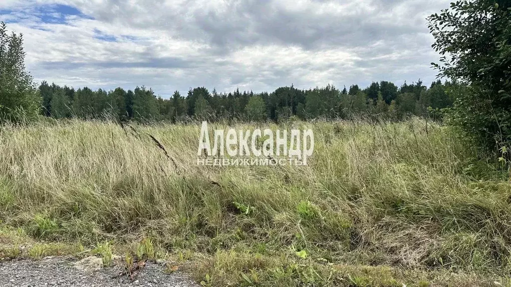 Участок в Ленинградская область, Ломоносовский район, Горбунковское ... - Фото 2