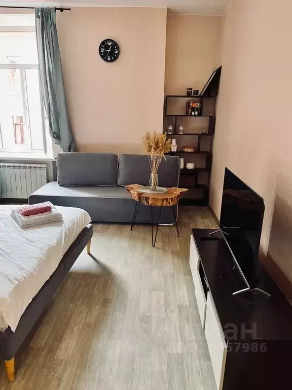 1-к кв. Санкт-Петербург просп. Римского-Корсакова, 33 (31.0 м) - Фото 2