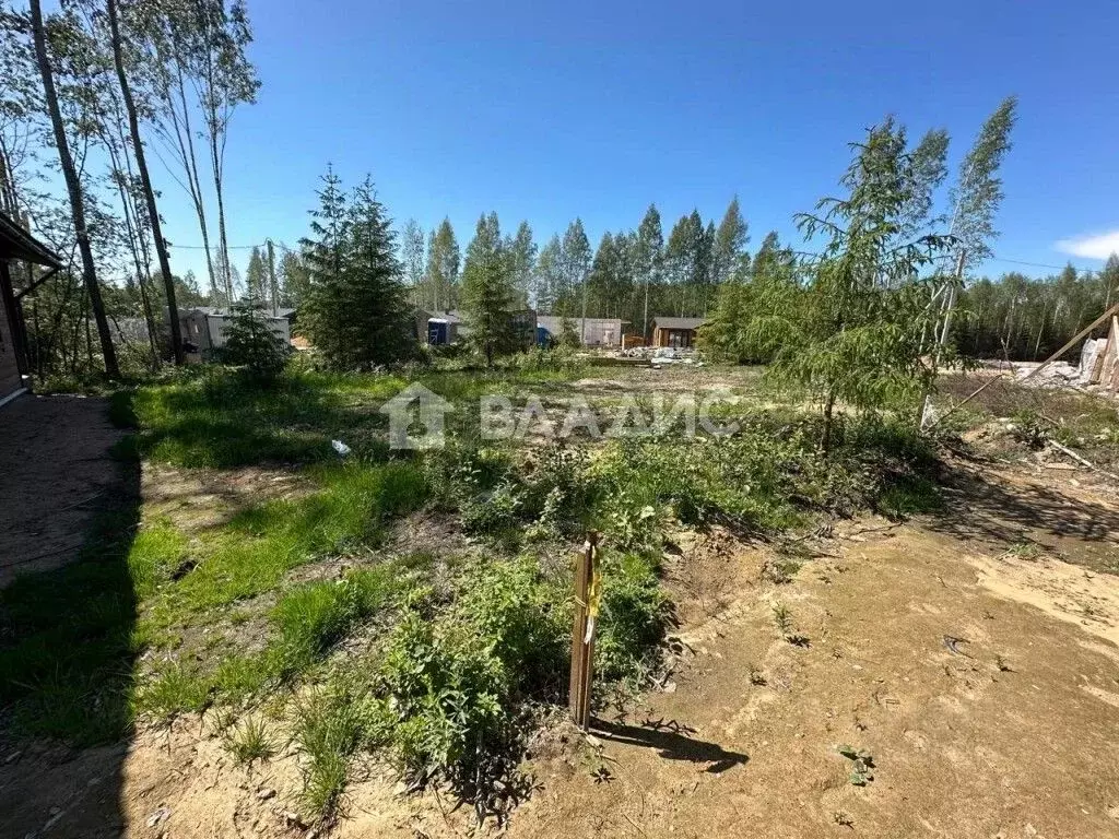 Участок в Ленинградская область, Всеволожский район, Бугровское ... - Фото 1